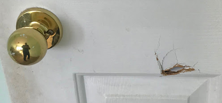interior door hole repair Palos Verdes Estates